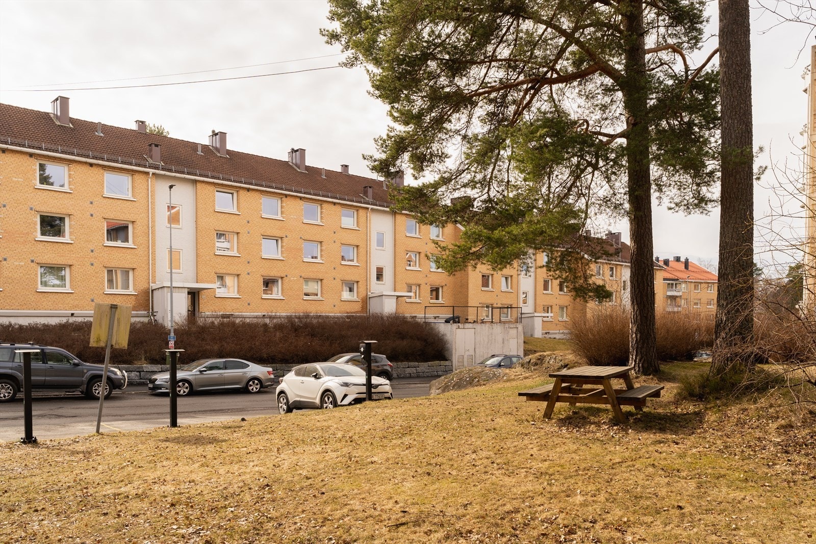 Borettslaget består av 503 andelsleiligheter og er et godt drevet borettslag Galleribilde
