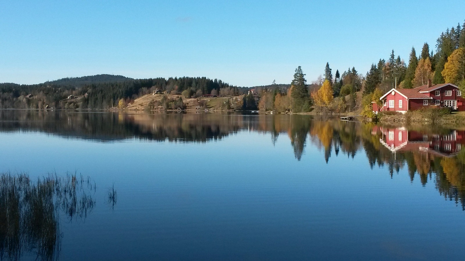 Sommerbilder fra selger. Galleribilde