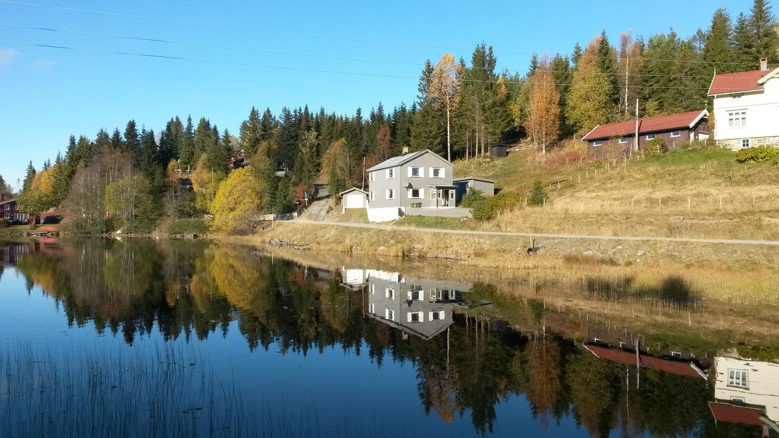 Sommerbilder fra selger. Galleribilde