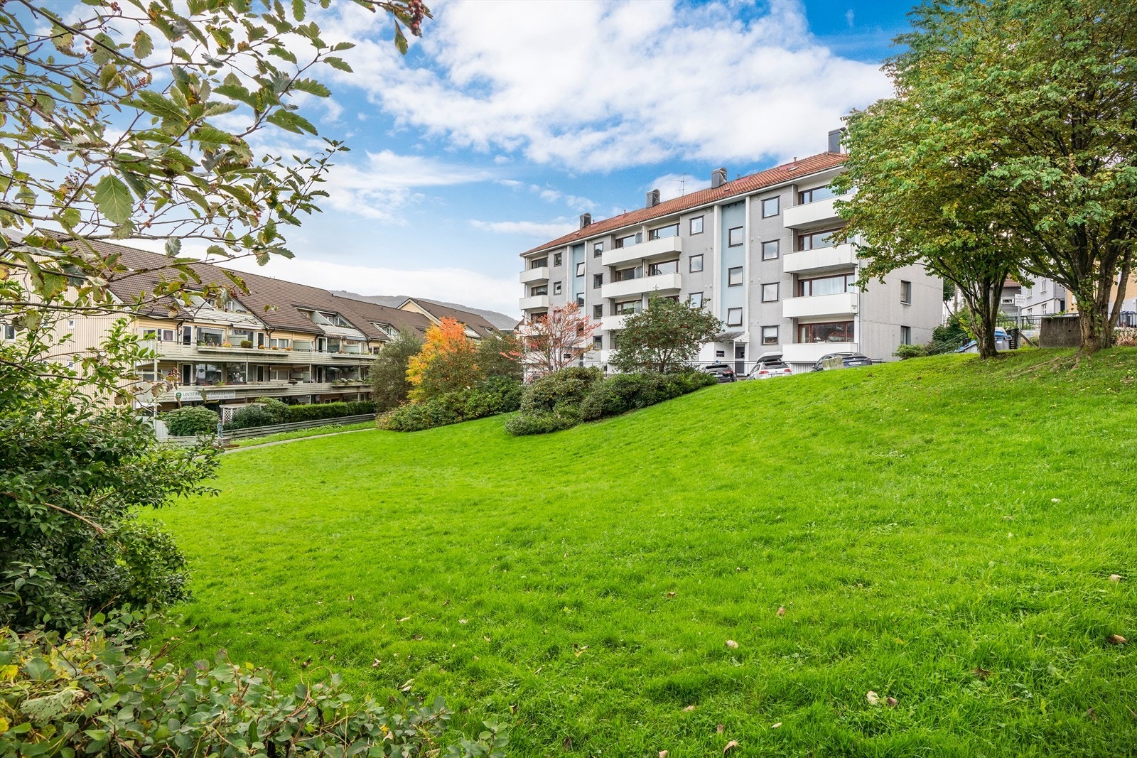 - Med herlige grøntområder - Galleribilde