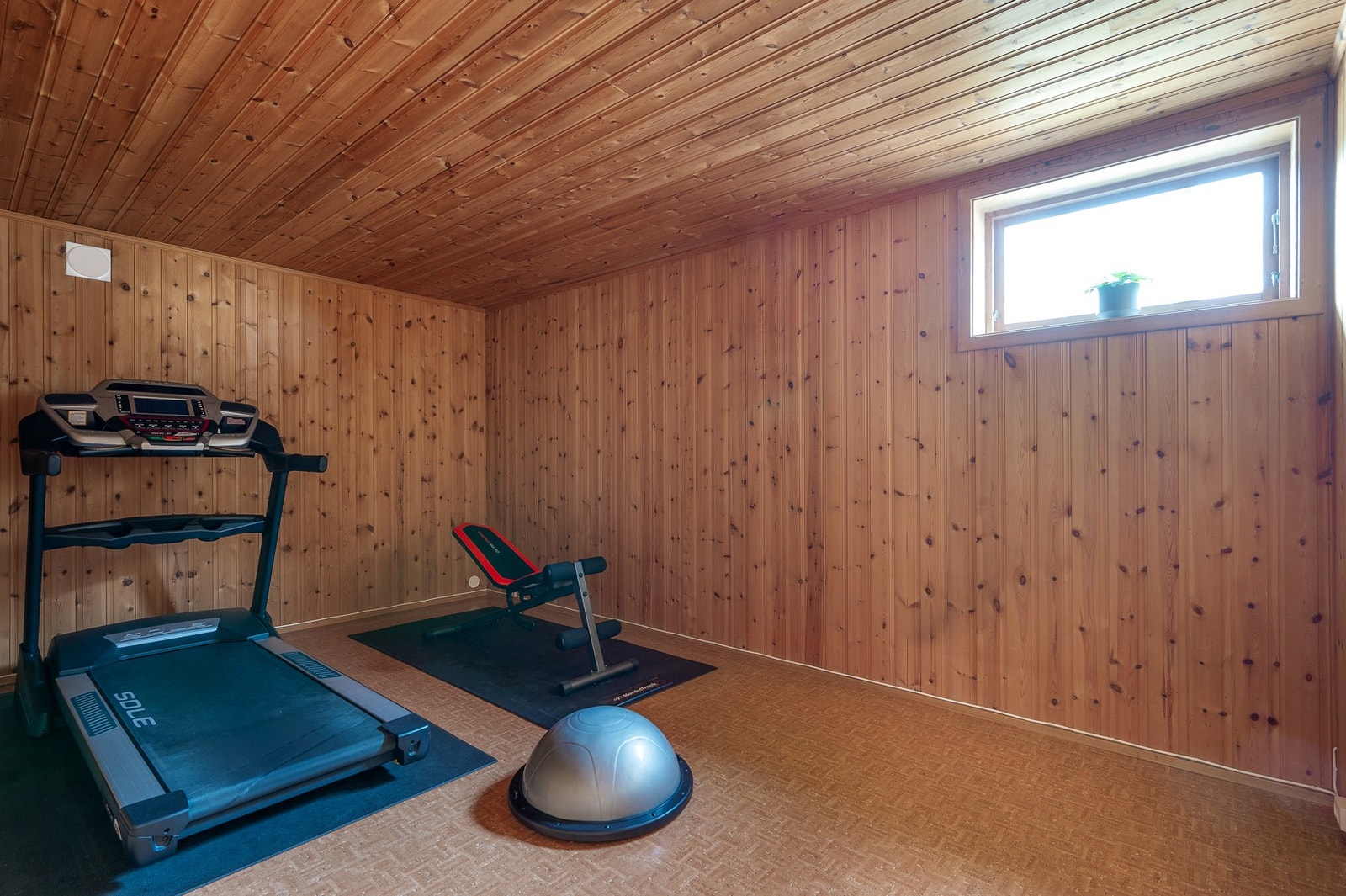 Eget rom i kjeller som man kan benytte som treningsrom. Galleribilde