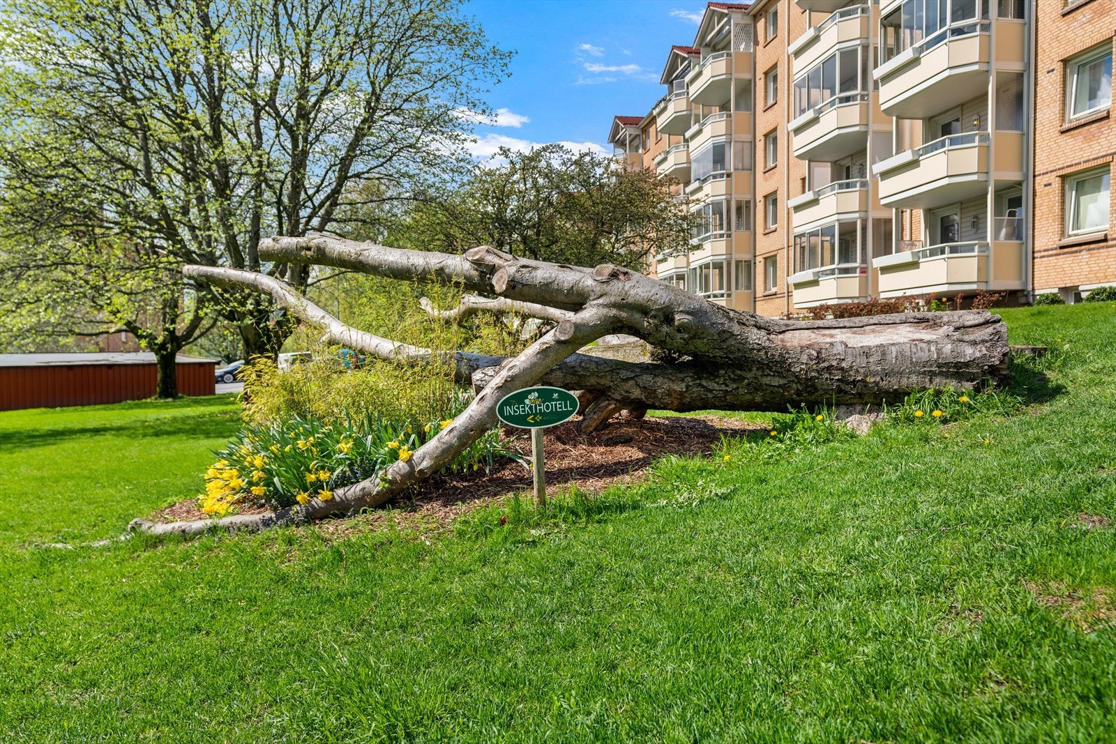 På de flotte områdene i Teisen park er det flere sittegrupper, lekeplasser, grillplasser og spennende insektshotell som dette. Galleribilde