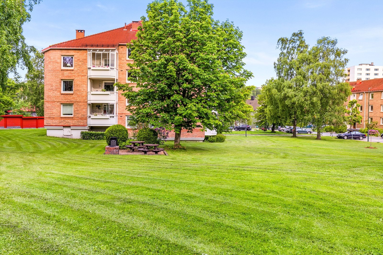 Mer grønt enn blokk! Det er et svært godt tegn Galleribilde