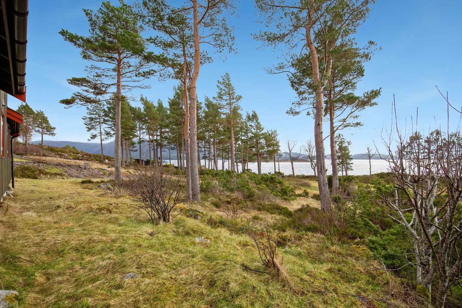 Nydelig utsikt mot sjø Galleribilde