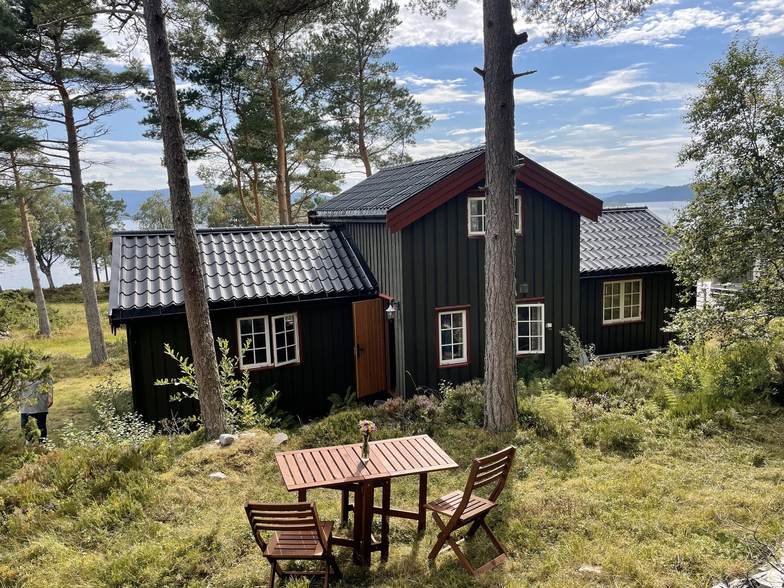 Gode muligheter for skogsbærsanking rundt hytta og flotte turområder ved Grisvågøya og Melland Galleribilde