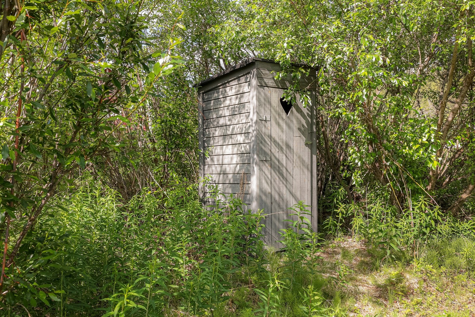 Det er utedo plassert på tomten Galleribilde