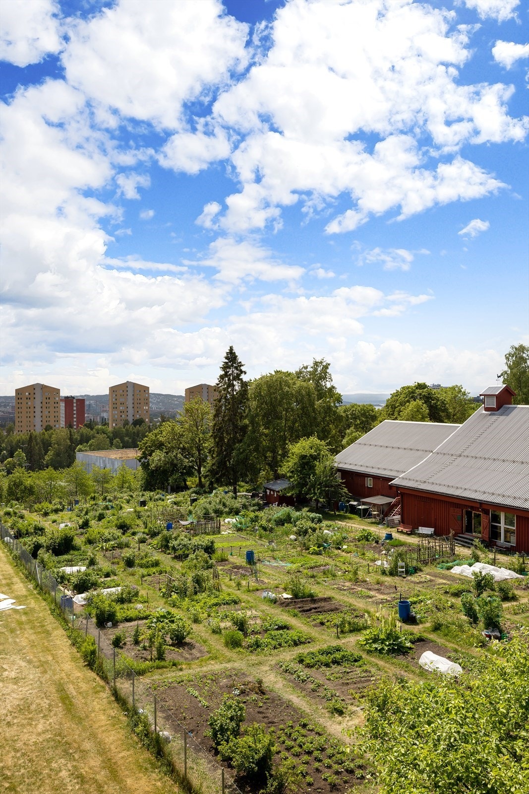 Vendt ut mot de frodige hagene til Årvoll gård - her ferdes du så og si helt uten innsyn! Galleribilde