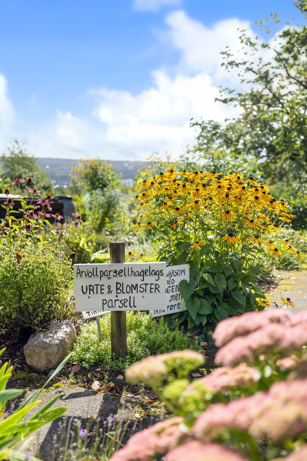 Årvoll Parsellhagelag ble grunnlagt i 1981, som et kjærkomment aktivitetstilbud til beboere i Bydelen Galleribilde
