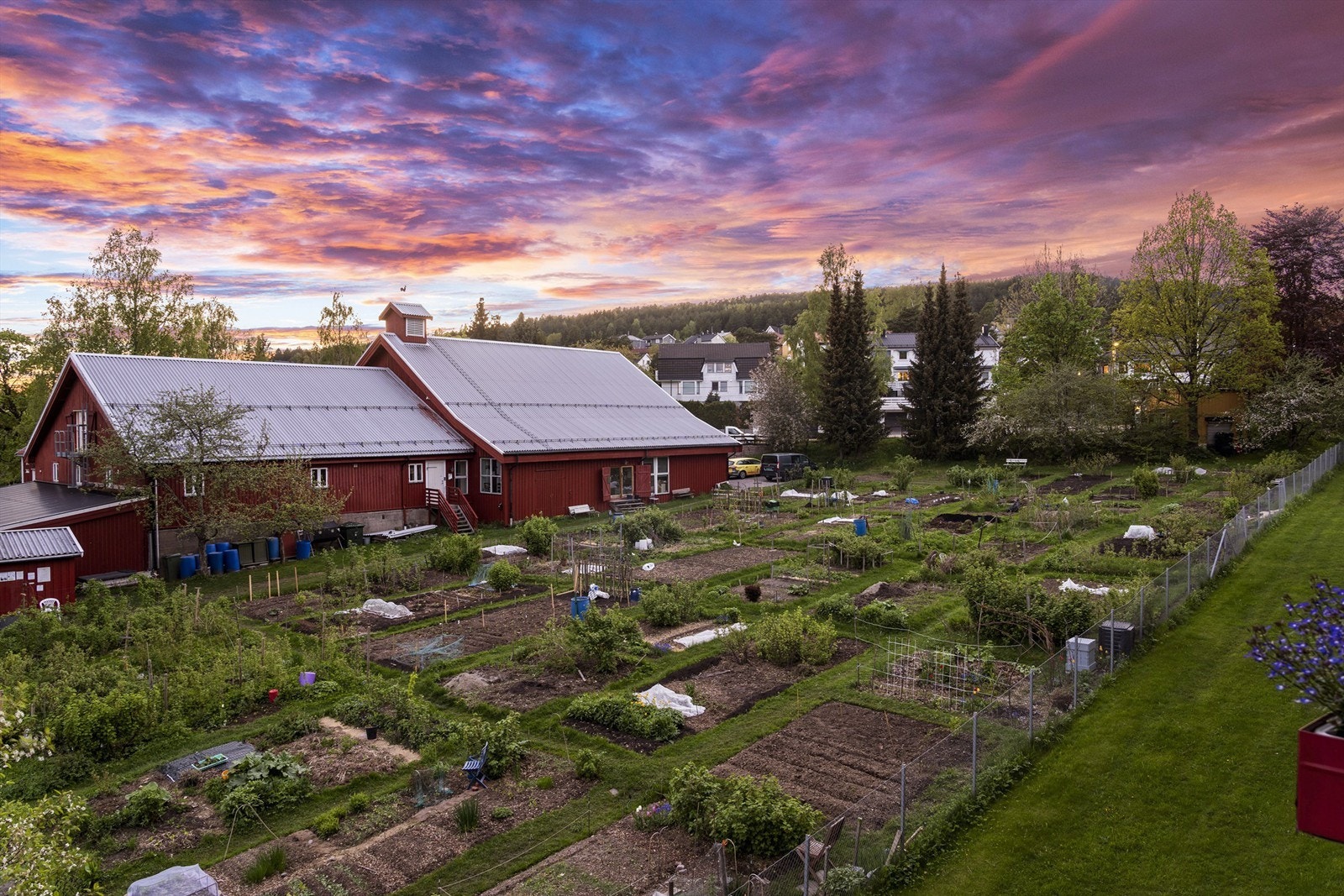 Idylliske Årvoll Gård og hageparseller ligger foran blokken Galleribilde