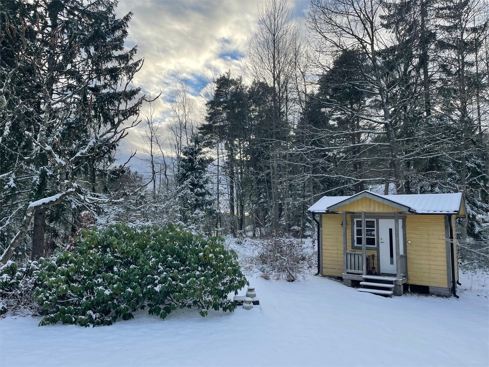 Säljarens vinterbild Galleribilde