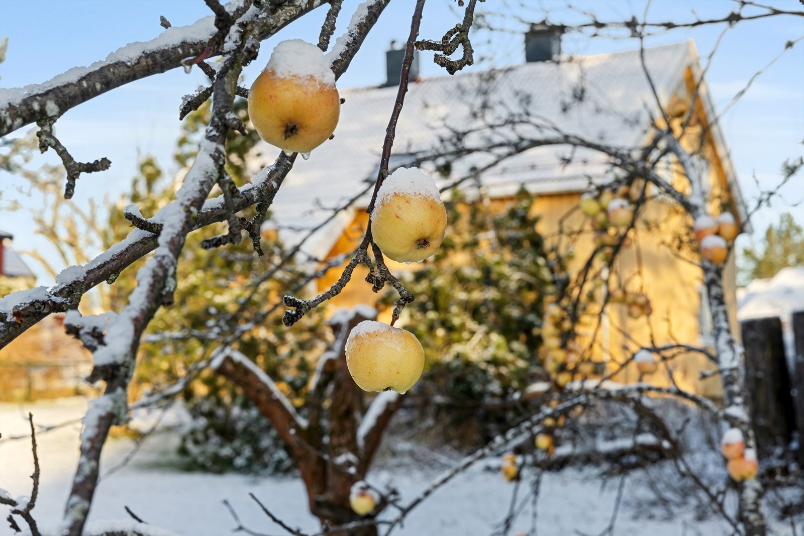 Kontakt oss for en visning, eller kom innom og opplev området på egen hånd! Galleribilde