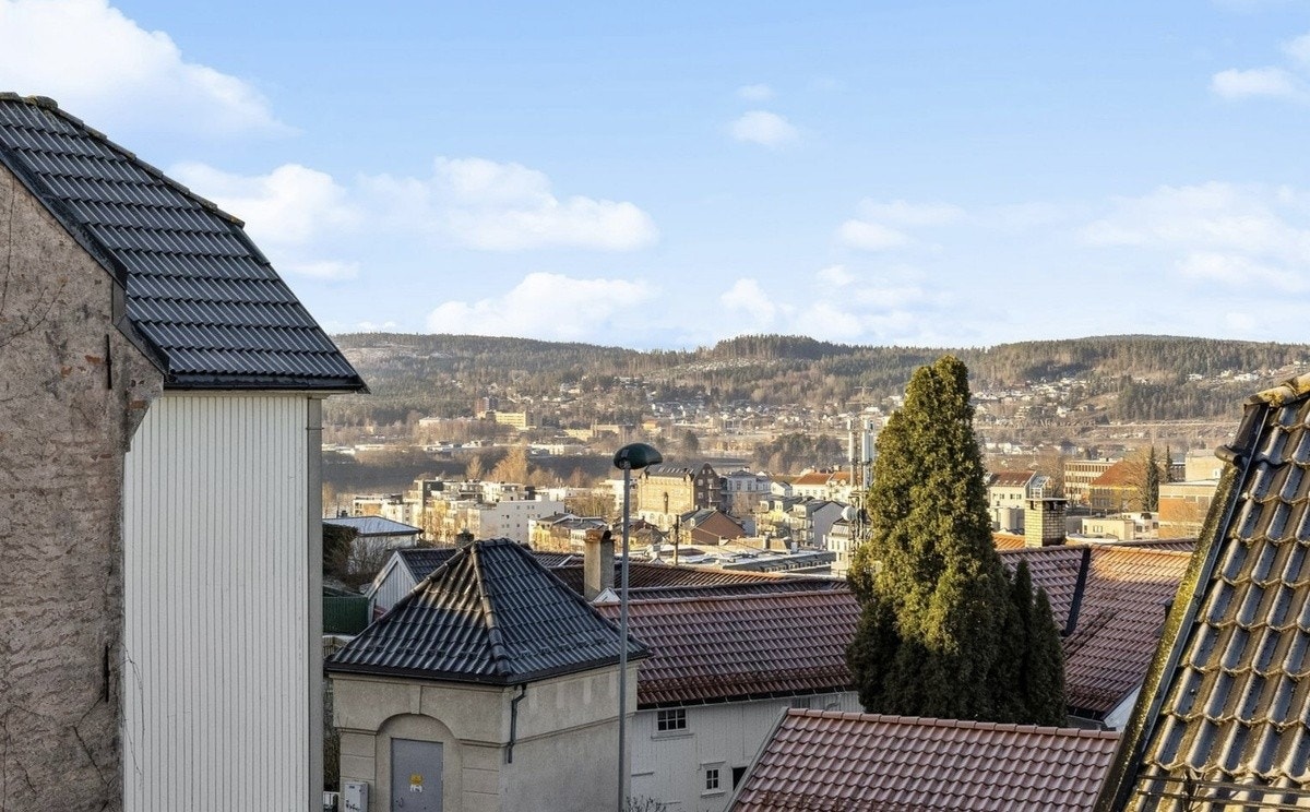 Utsikt over Skien by Galleribilde