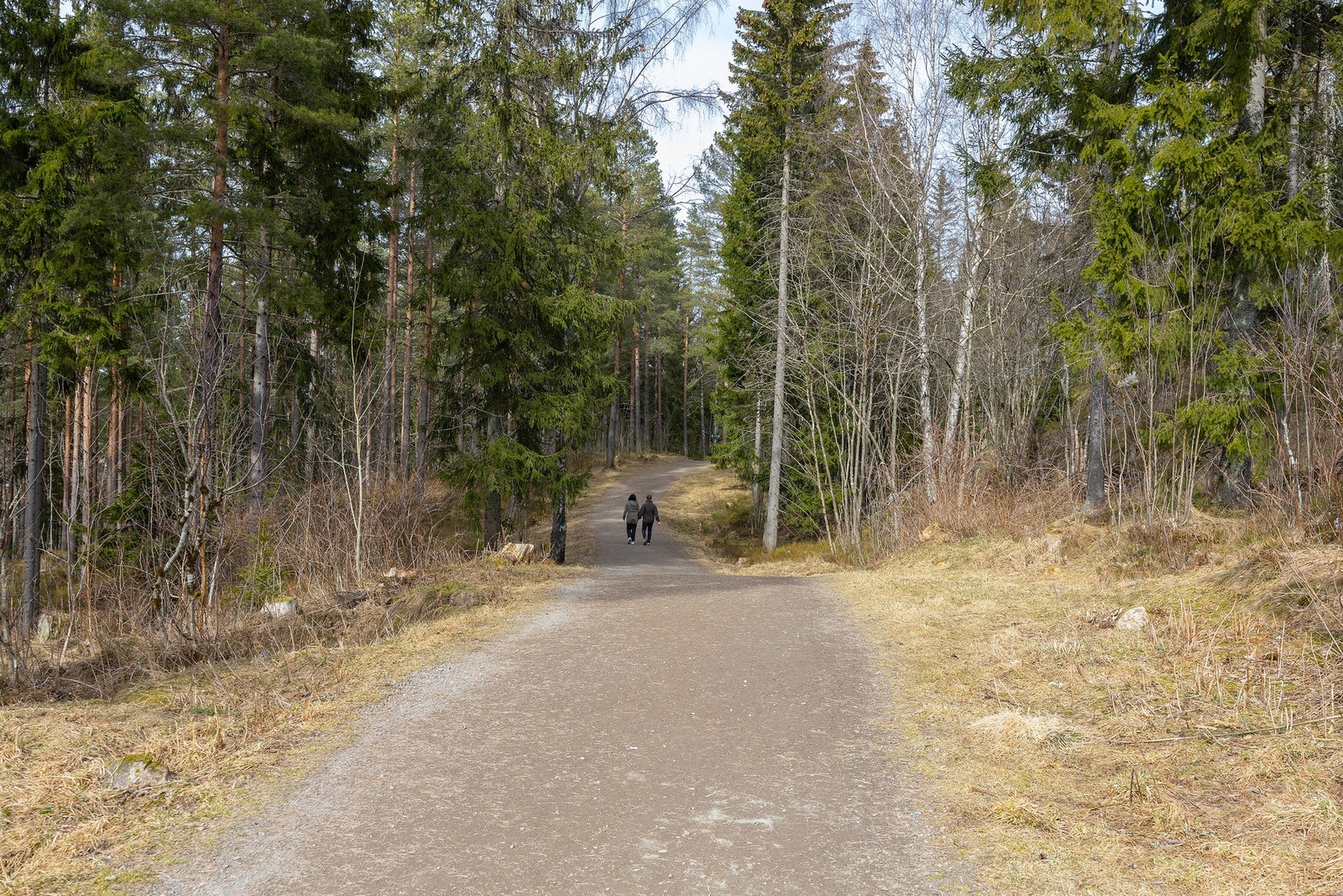 Umiddelbar nærhet til Marka med et eldorado av tur- og løypenett. Galleribilde