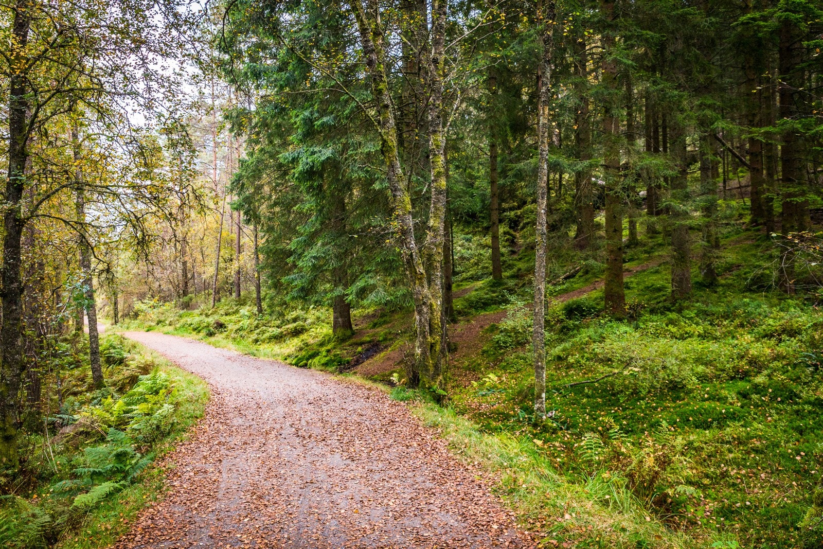 Gode turmuligheter Galleribilde