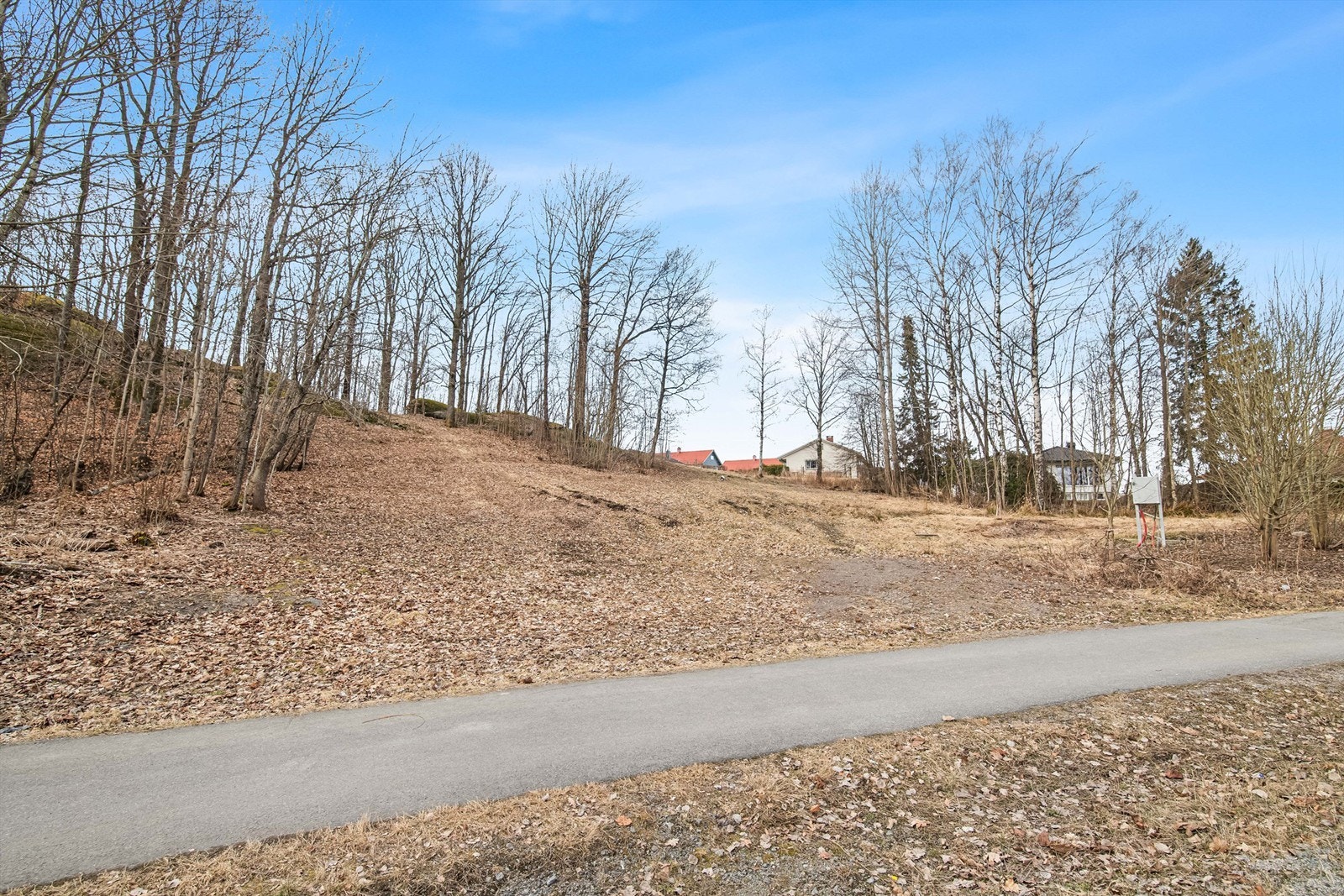 Populær akebakke vinterstid Galleribilde