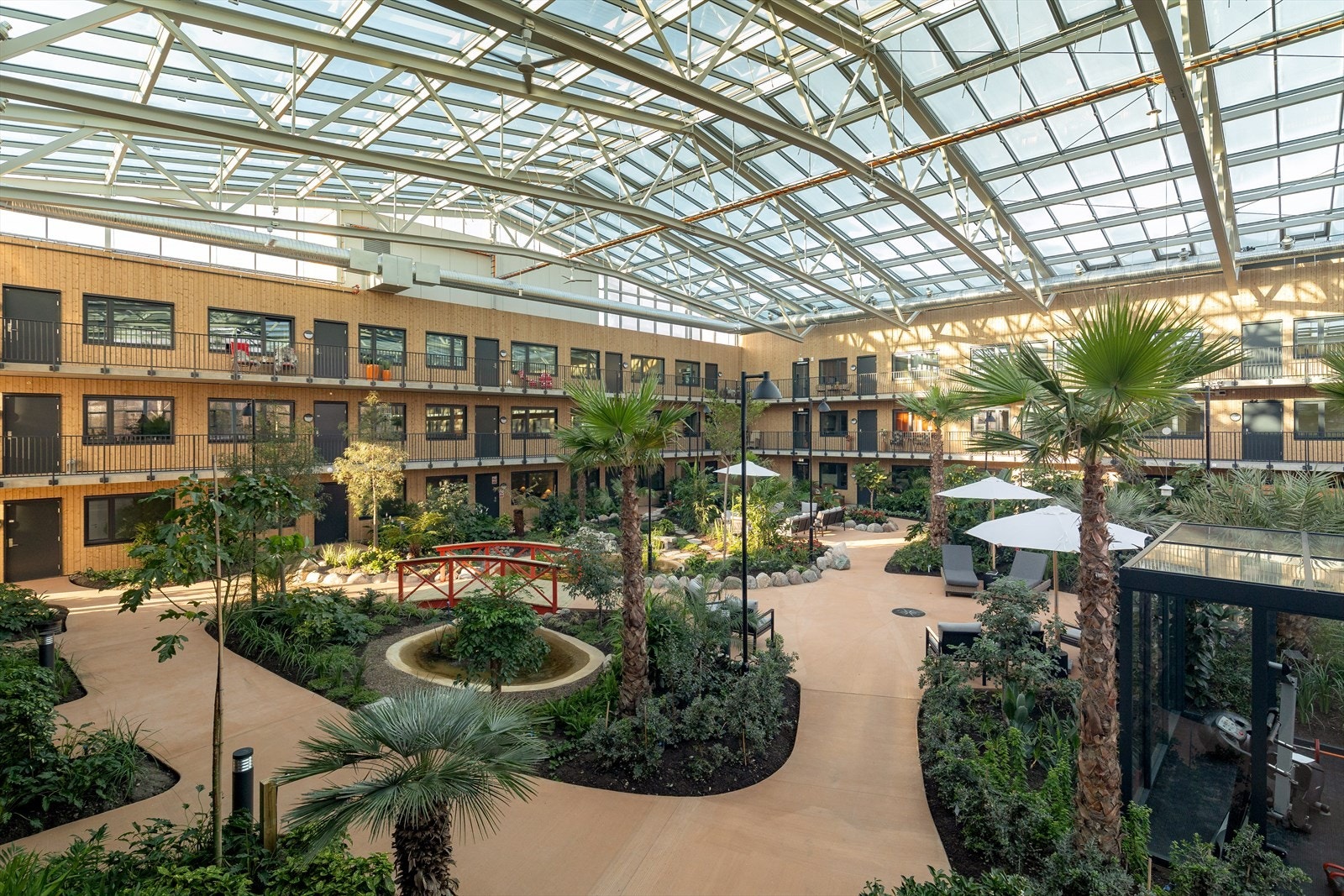 Her kan du vandre rundt i hagen i middelhavsklima selv på de kaldeste vinterdager Galleribilde