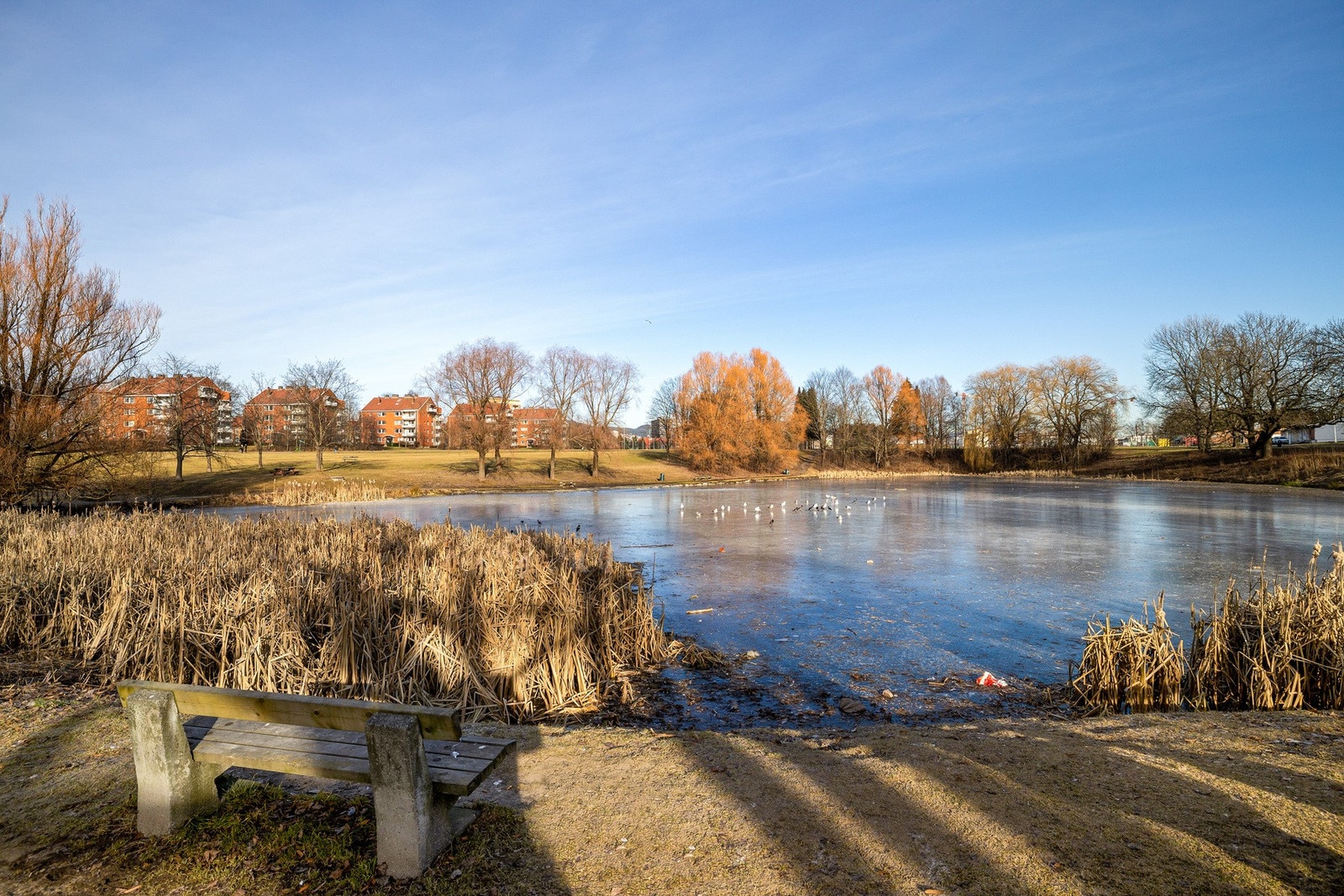 Her er det flotte turmuligheter. Galleribilde