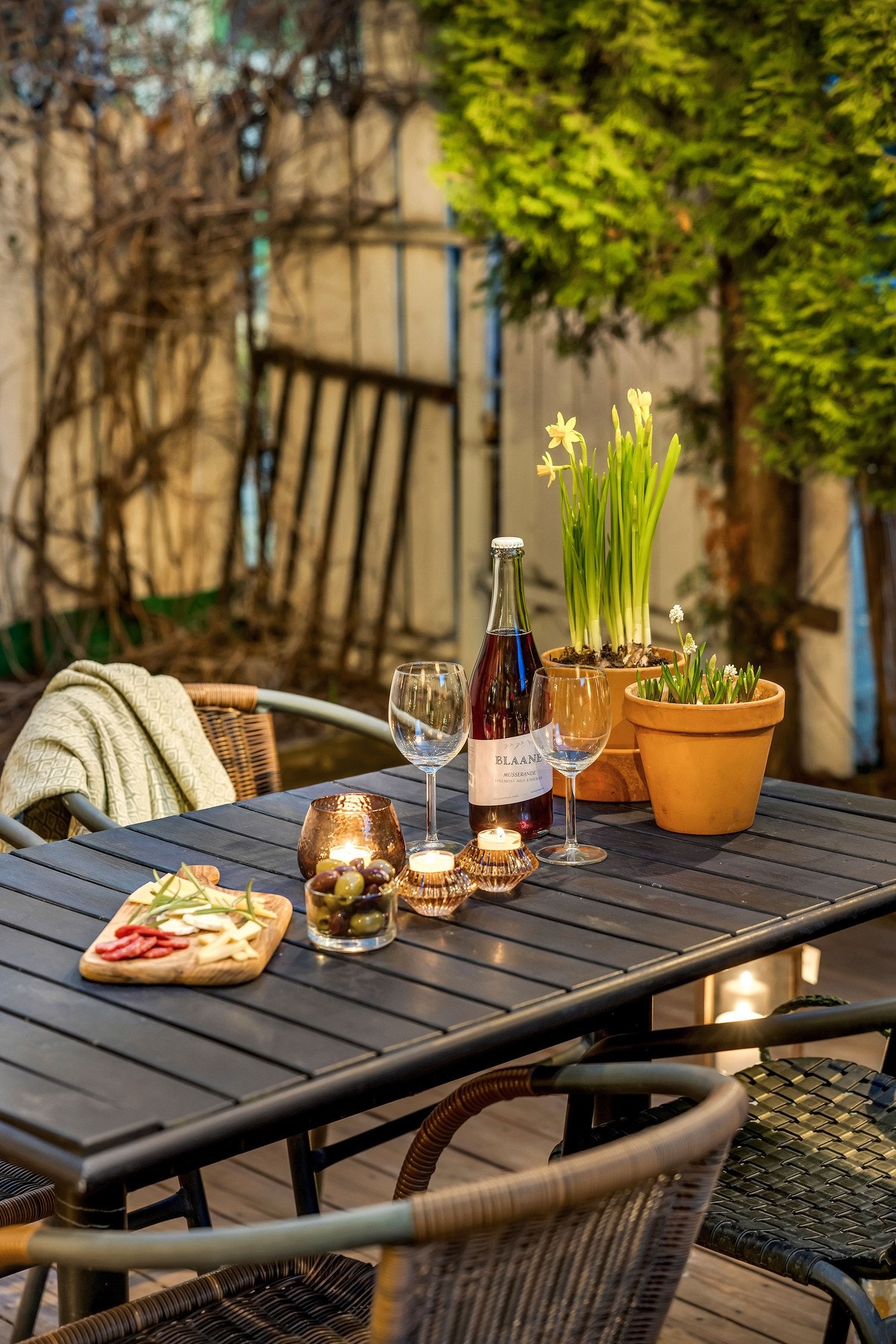 Kveldsstemning på terrassen. Galleribilde