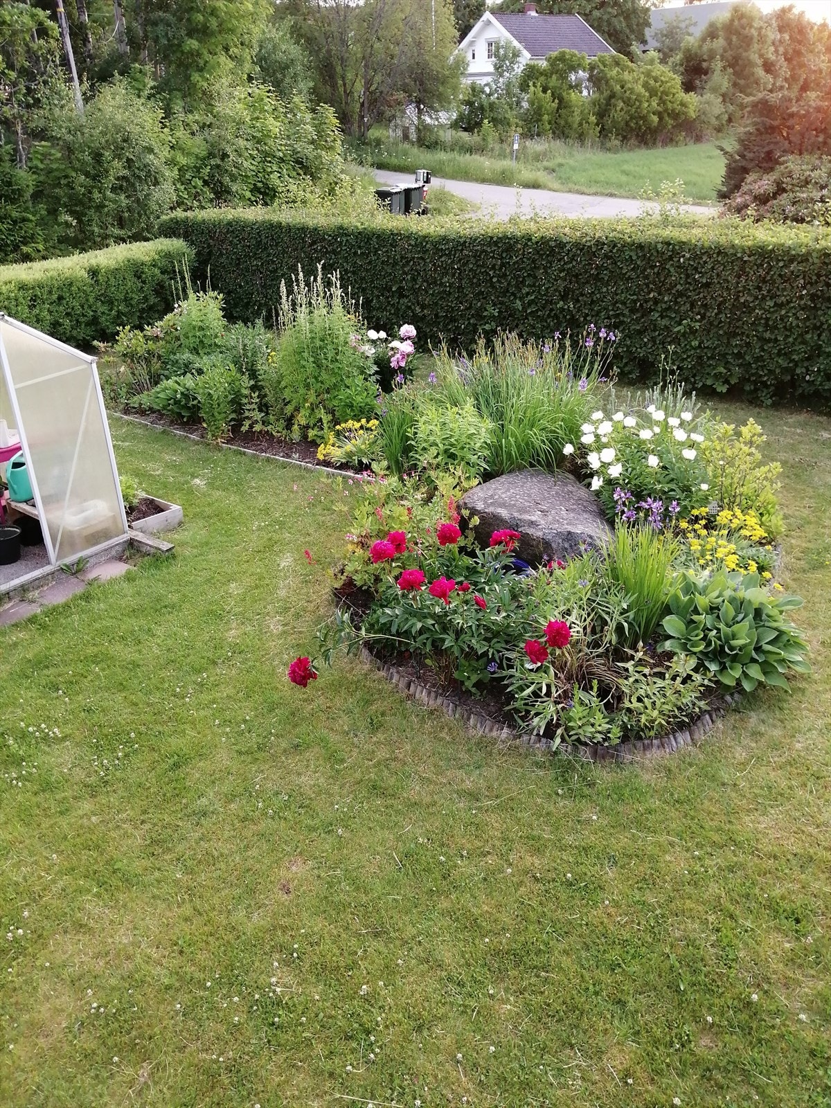 Private sommerbilder av hagen Galleribilde