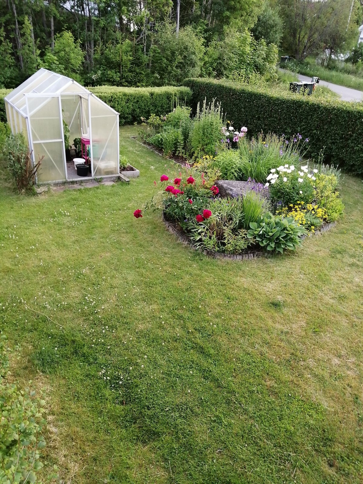 Private sommerbilder av hagen Galleribilde