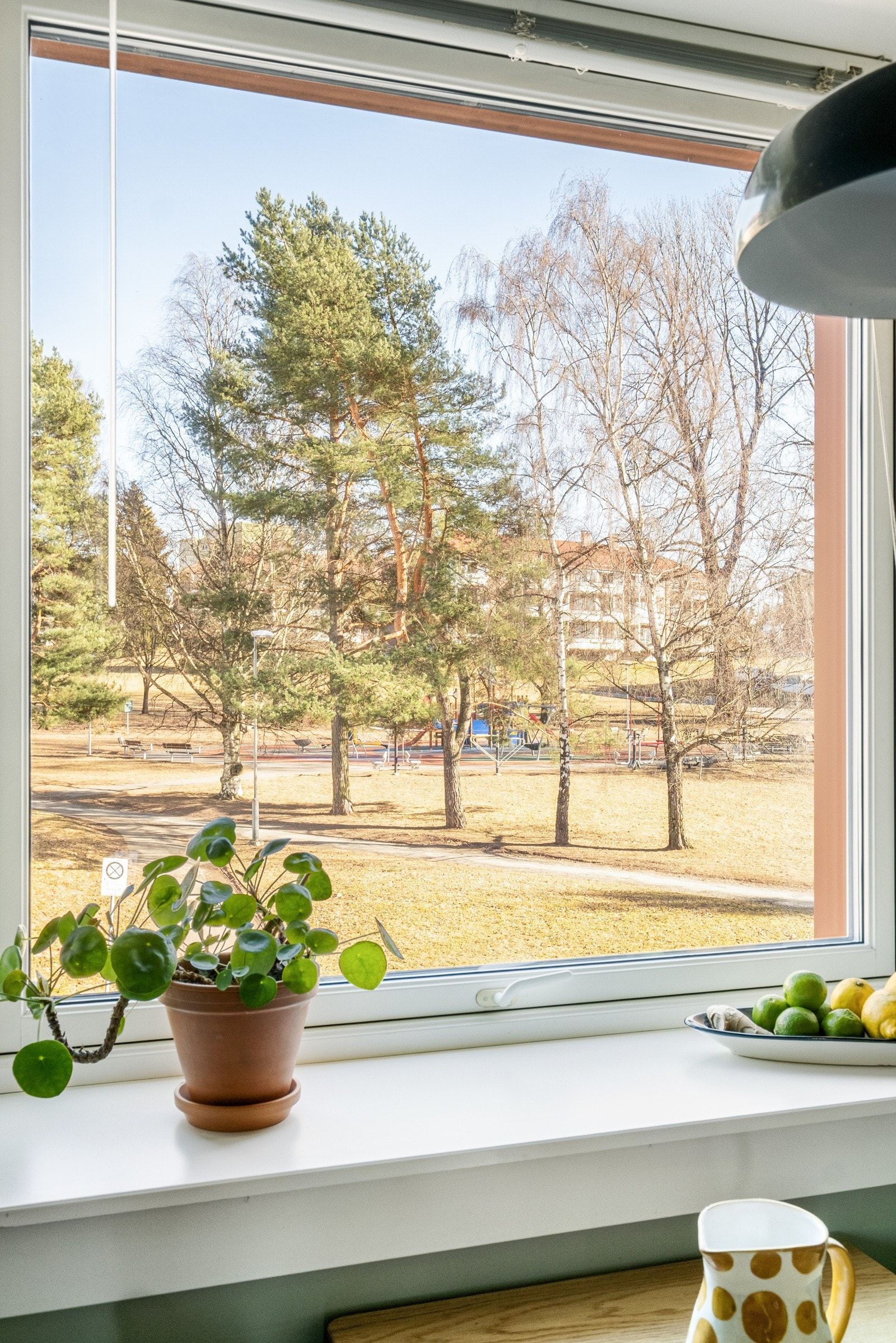 På kjøkkenet kan du starte dagen med morgensol og en kaffekopp. Galleribilde