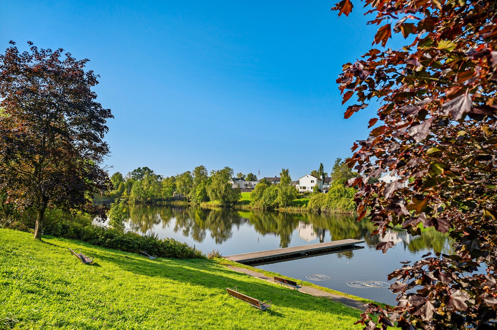Idylliske Holmendammen ligger i nærheten, med sine fine rekrasjonsmuligheter. Galleribilde