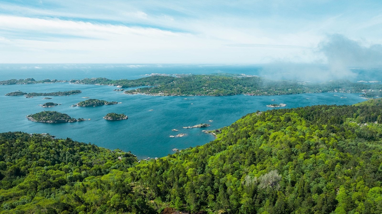 Flyfoto Galleribilde