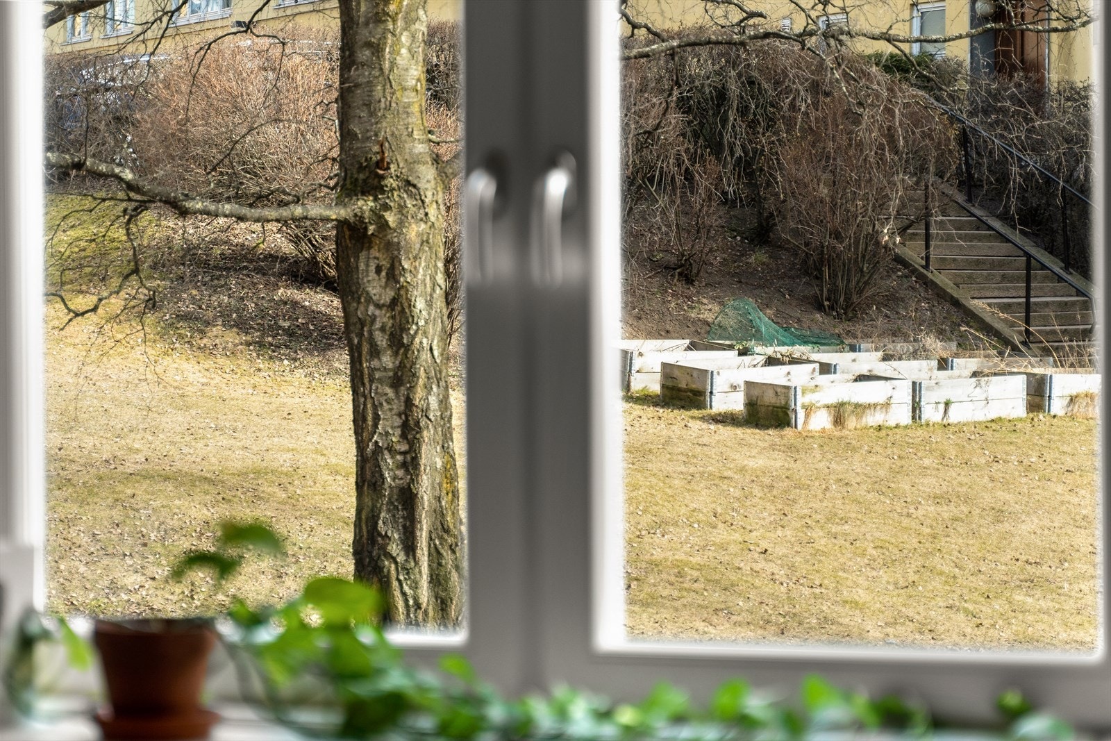 Fra vinduene kan man nyte et herlig utsyn over rolige og grønne fellesarealer. Galleribilde