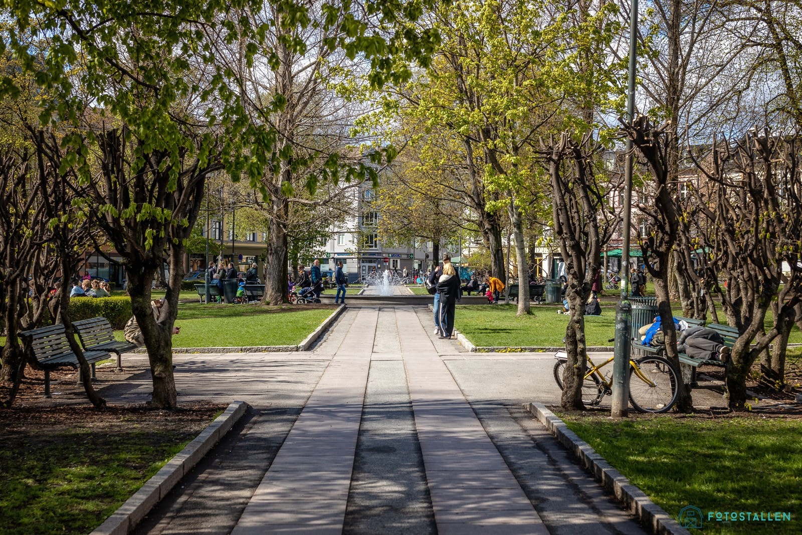 - Nærområdet - Galleribilde