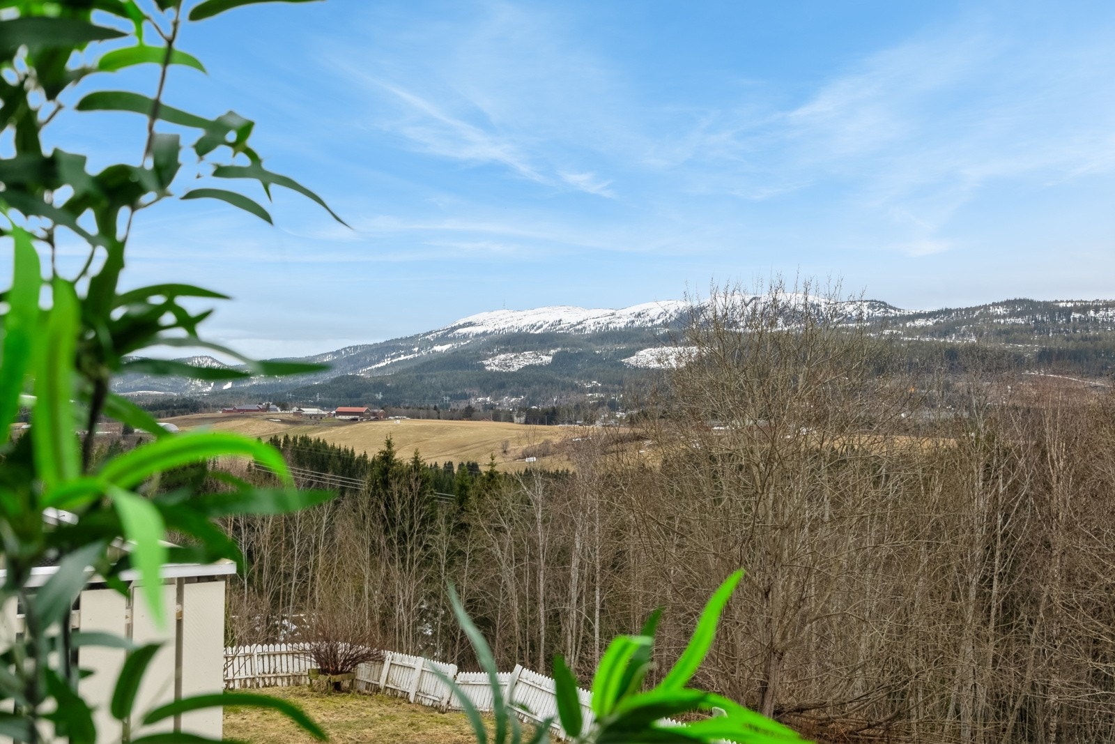 Fra boligen har du flott utsikt mot blant annet Vassfjellet. Galleribilde