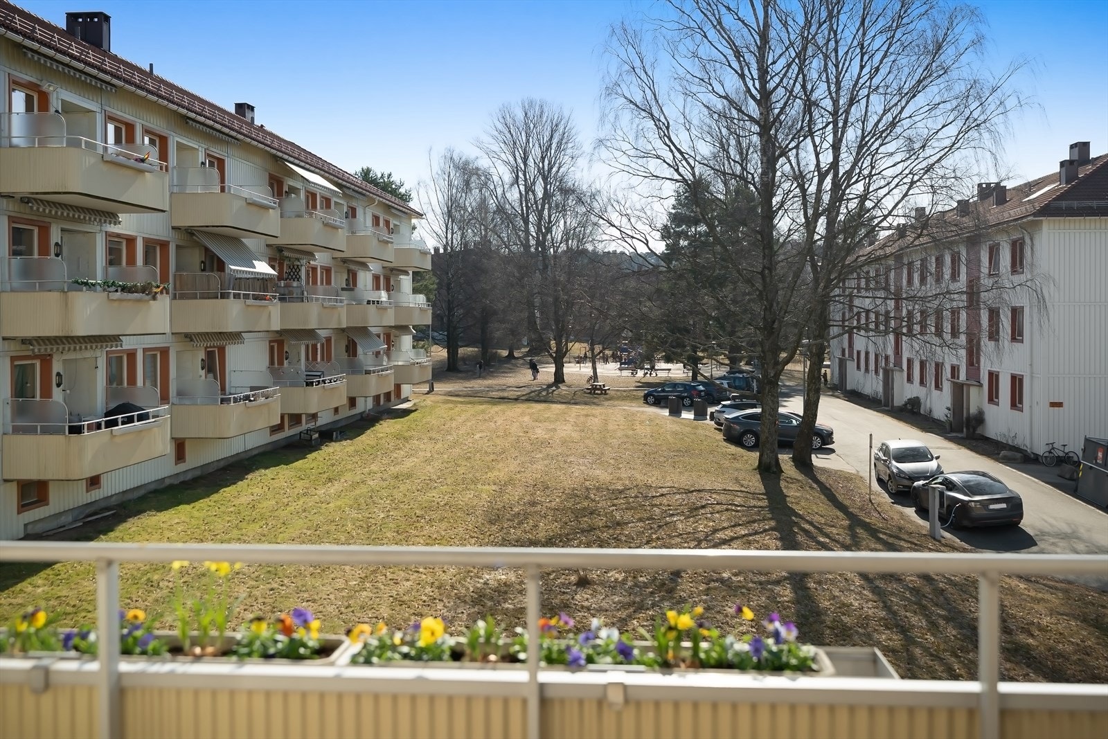 Usjenert og med meget hyggelig og frodig utsyn Galleribilde