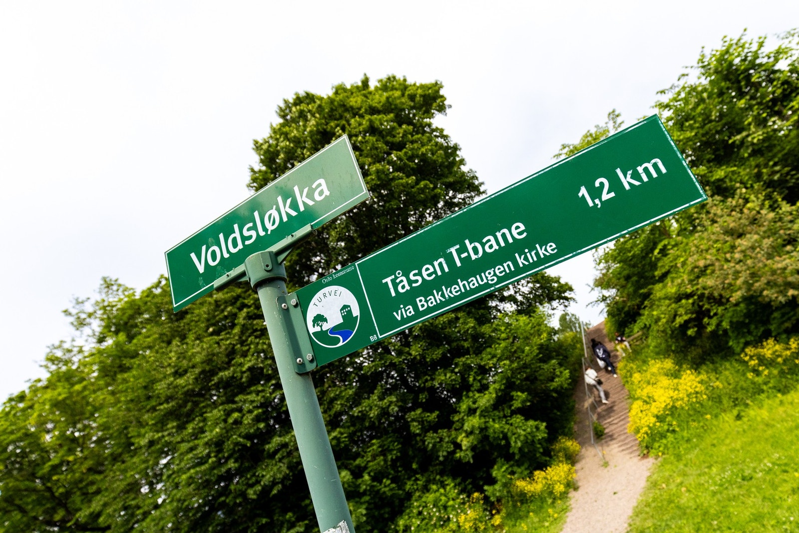 Området byr på flotte turmuligheter. Galleribilde