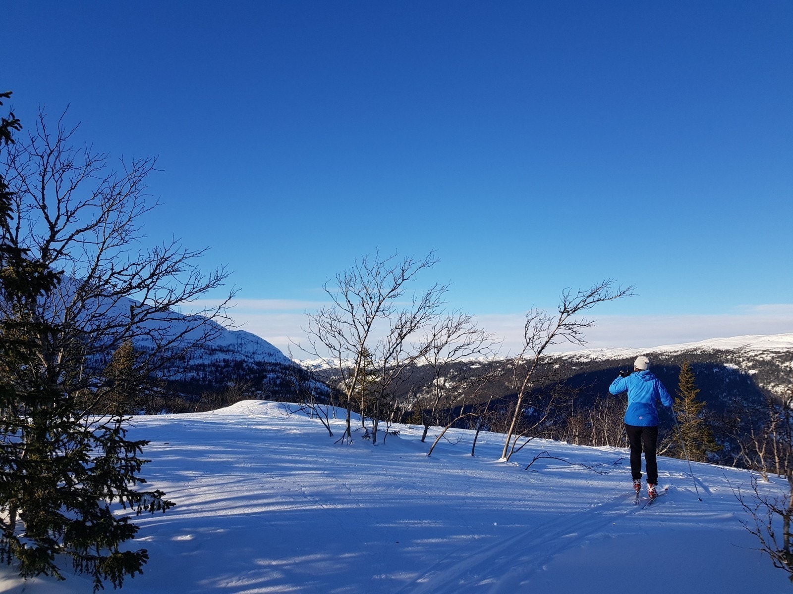 Tomt 31 Førpris 3 290 000 Galleribilde