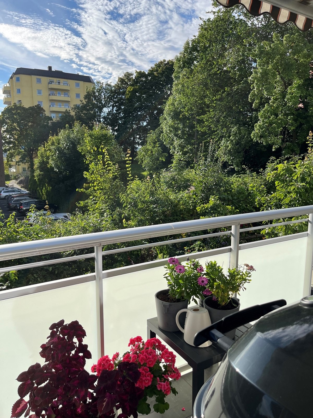 Bilde tatt på sommerstid. Her får virkelig kjent på en frodig oase rett utenfor døren Galleribilde