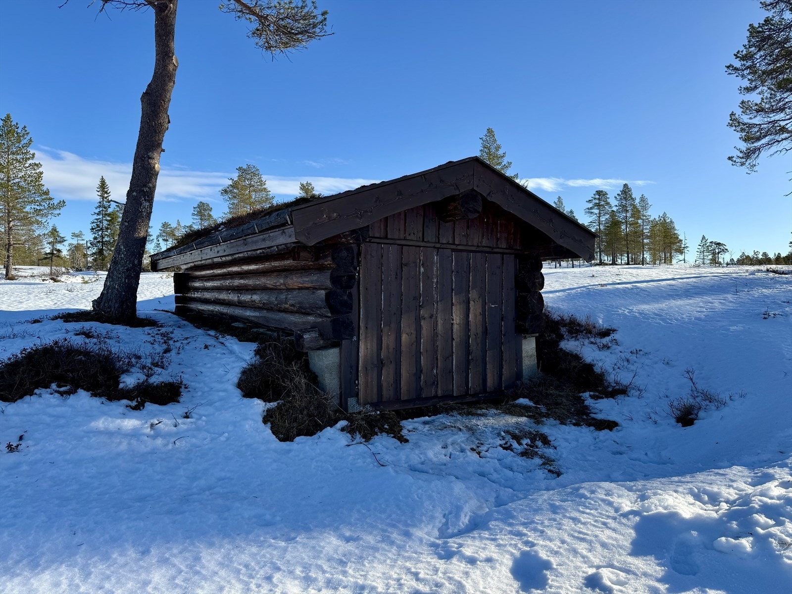 Naustet Galleribilde