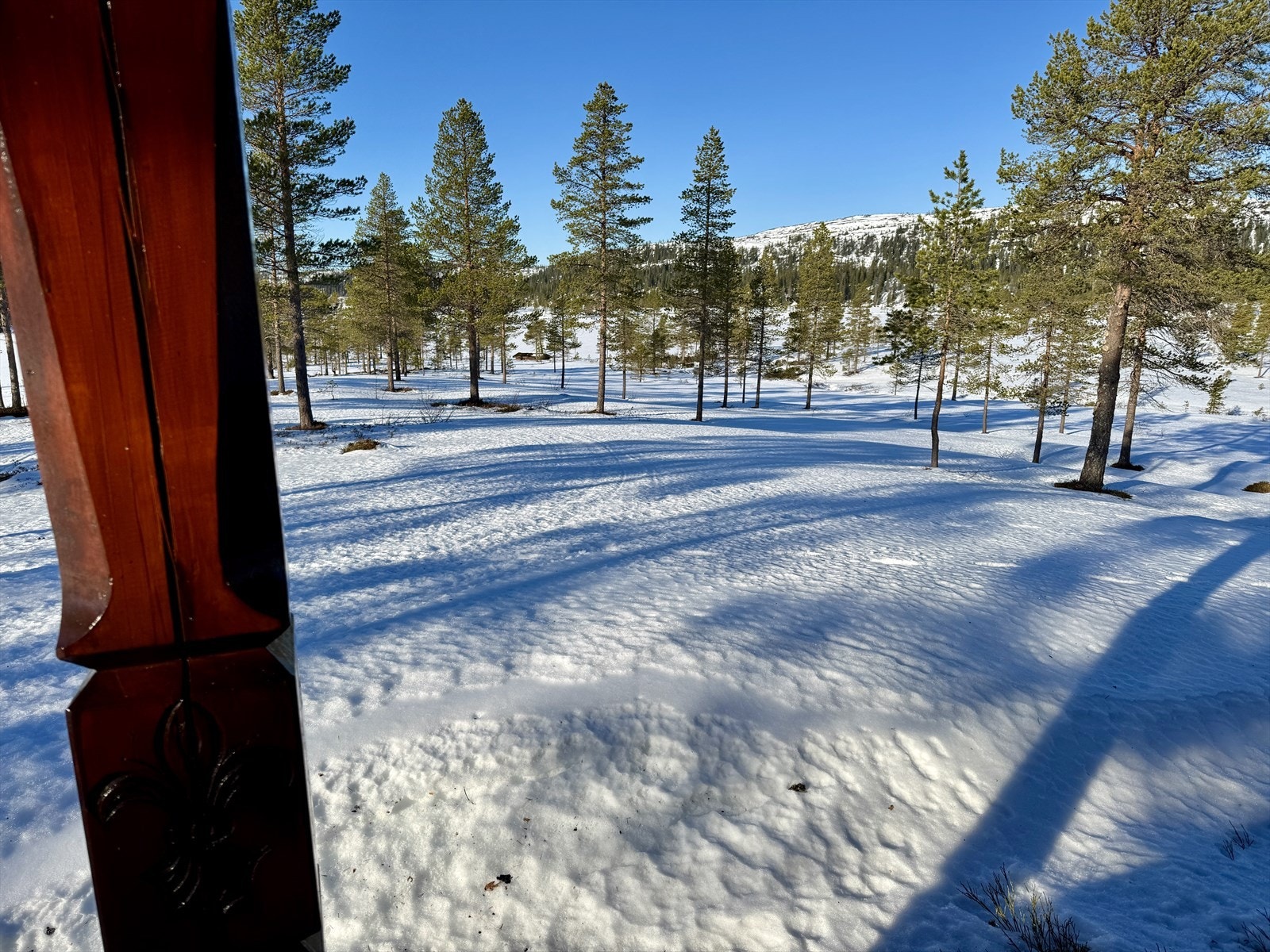 Mot Storkoltjønna Galleribilde