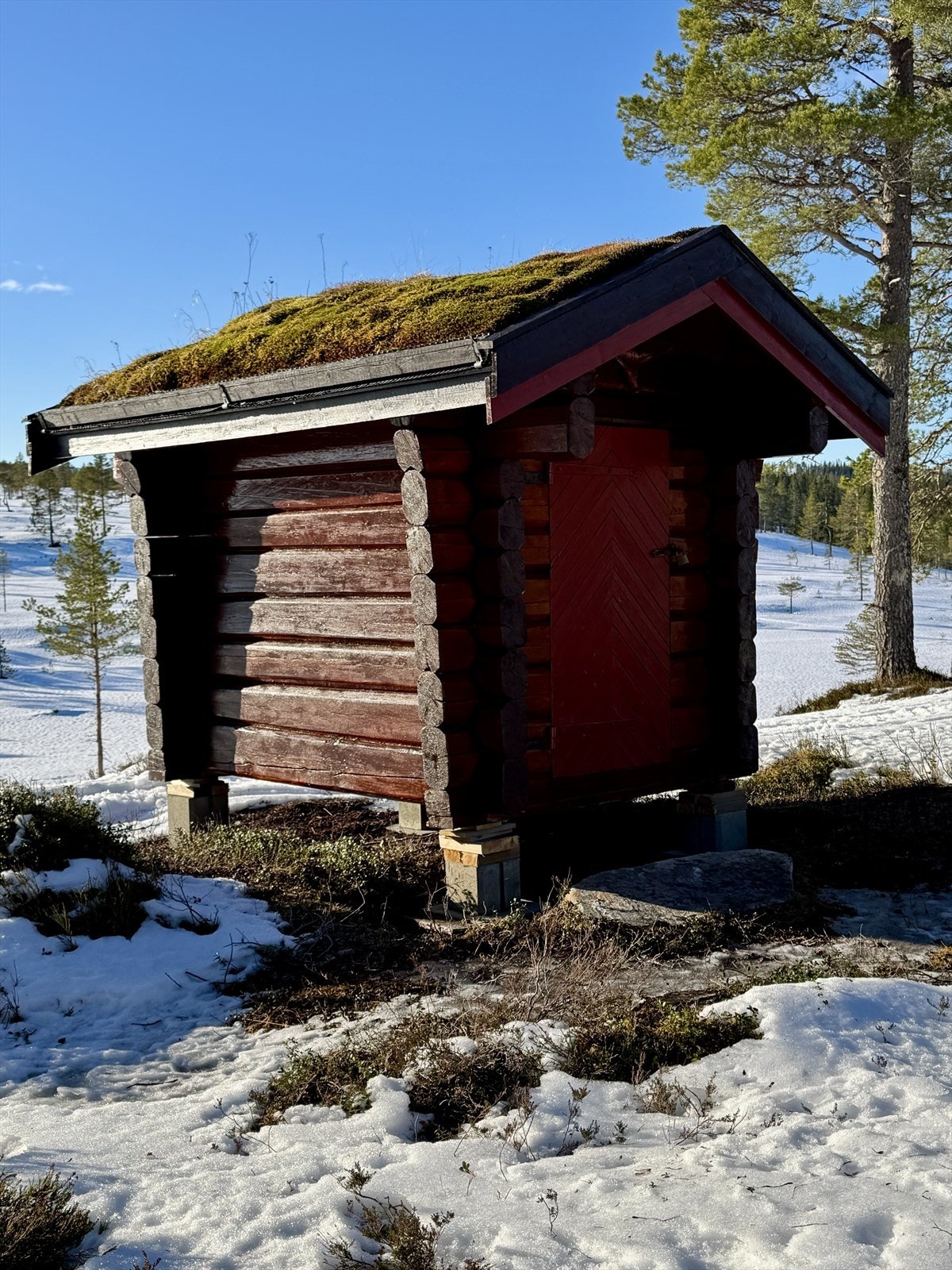 Stabbur/potensielt røykhus:) Galleribilde