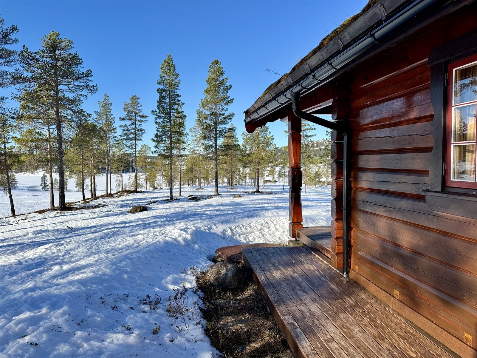 Utsikt mot Storkoltjønna Galleribilde