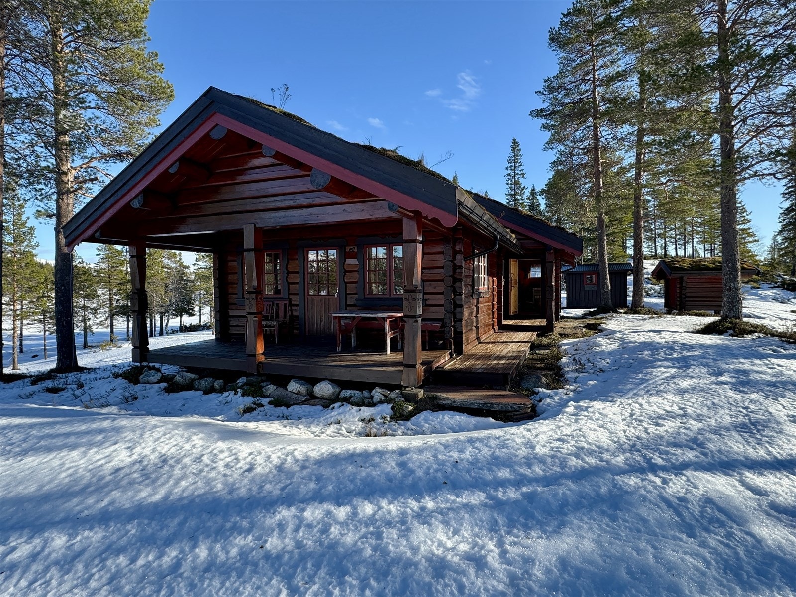 Hyttetunet ligger på en liten høyde ved Storkoltjønna Galleribilde