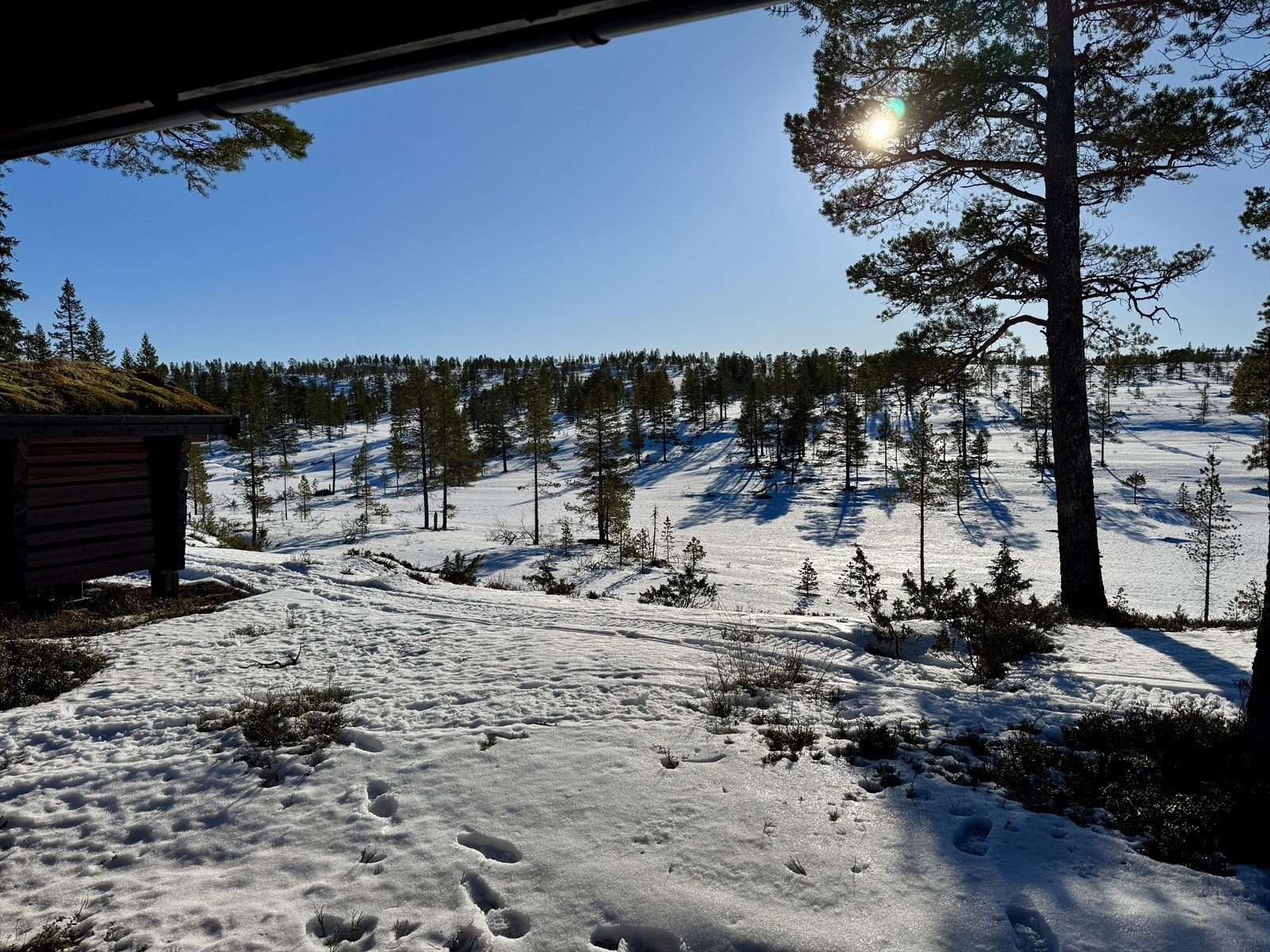 Fra hytta i retning Statsgrensa/Plukkutjønnfjellet Galleribilde