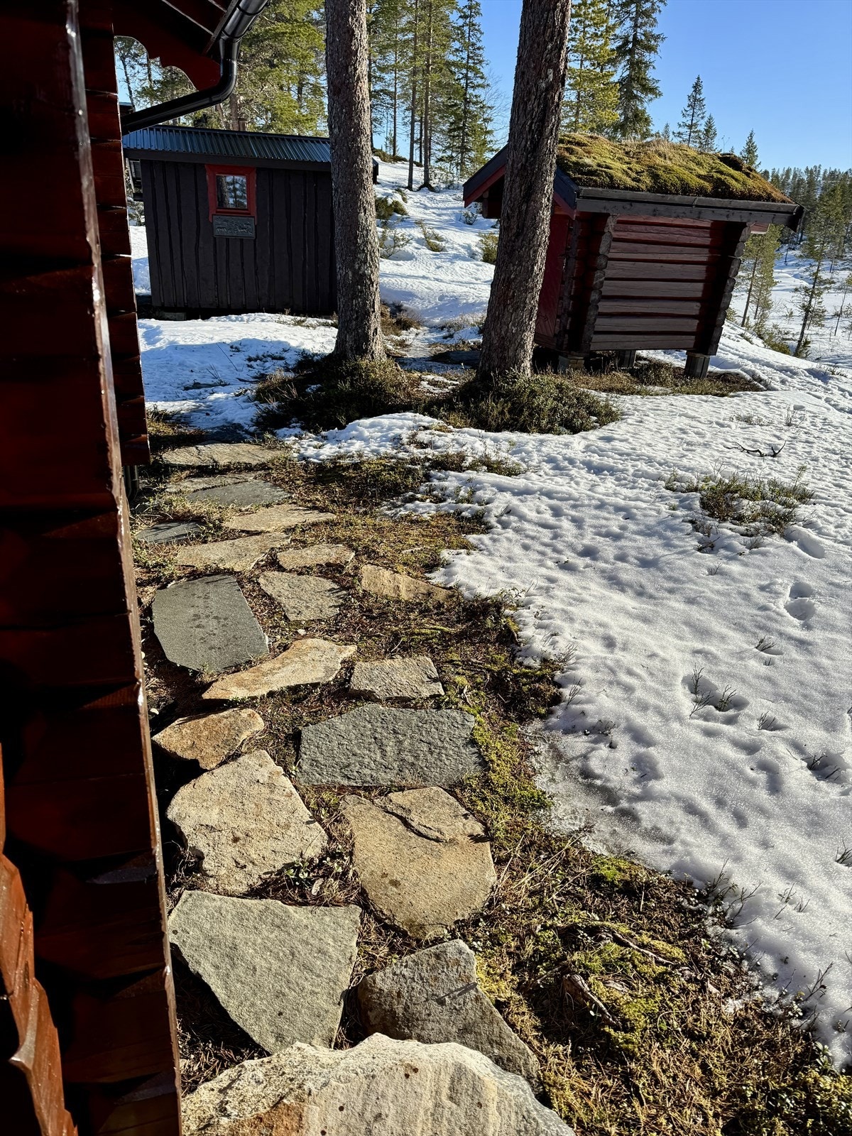 IMG_5845.JPEG Galleribilde