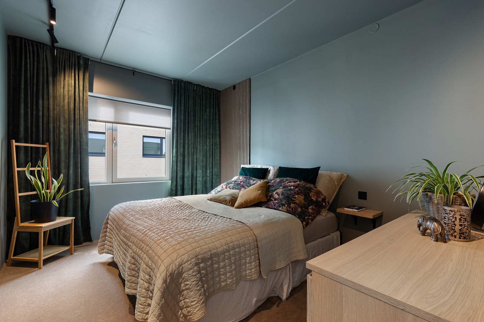 Deilig soverom av god størrelse med en rekke detaljer som vegg-til-vegg teppe og en lun farge på vegger og i tak Galleribilde