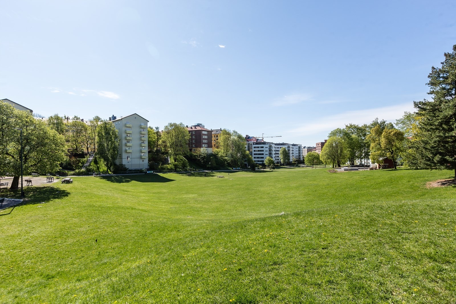 Rett ved leiligheten ligger idylliske Iladalen med flotte grøntområder, sittegrupper og lekeplass Galleribilde