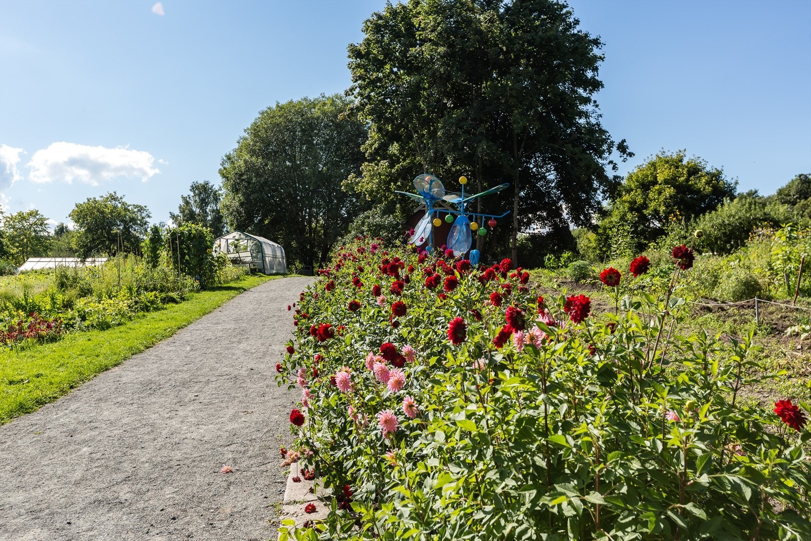 Ila er et sjarmerende område i Oslo med vakre parker, grønne lunger og idylliske turstier. Galleribilde