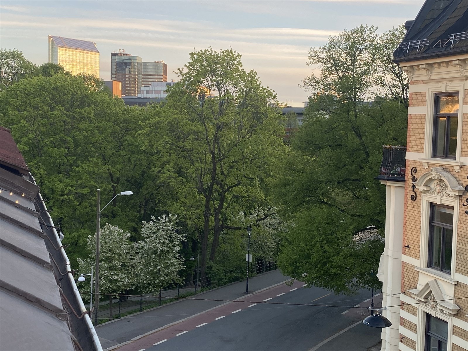 Selger sommerbilde fra takterrassen Galleribilde