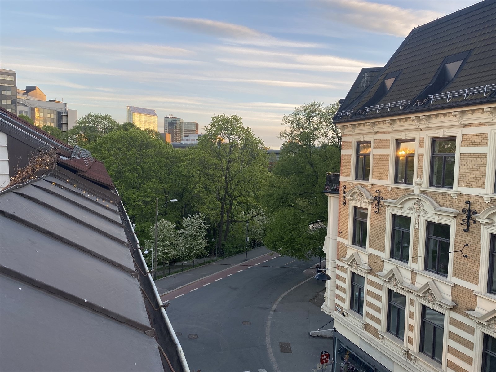 Selger sommerbilde fra takterrassen Galleribilde