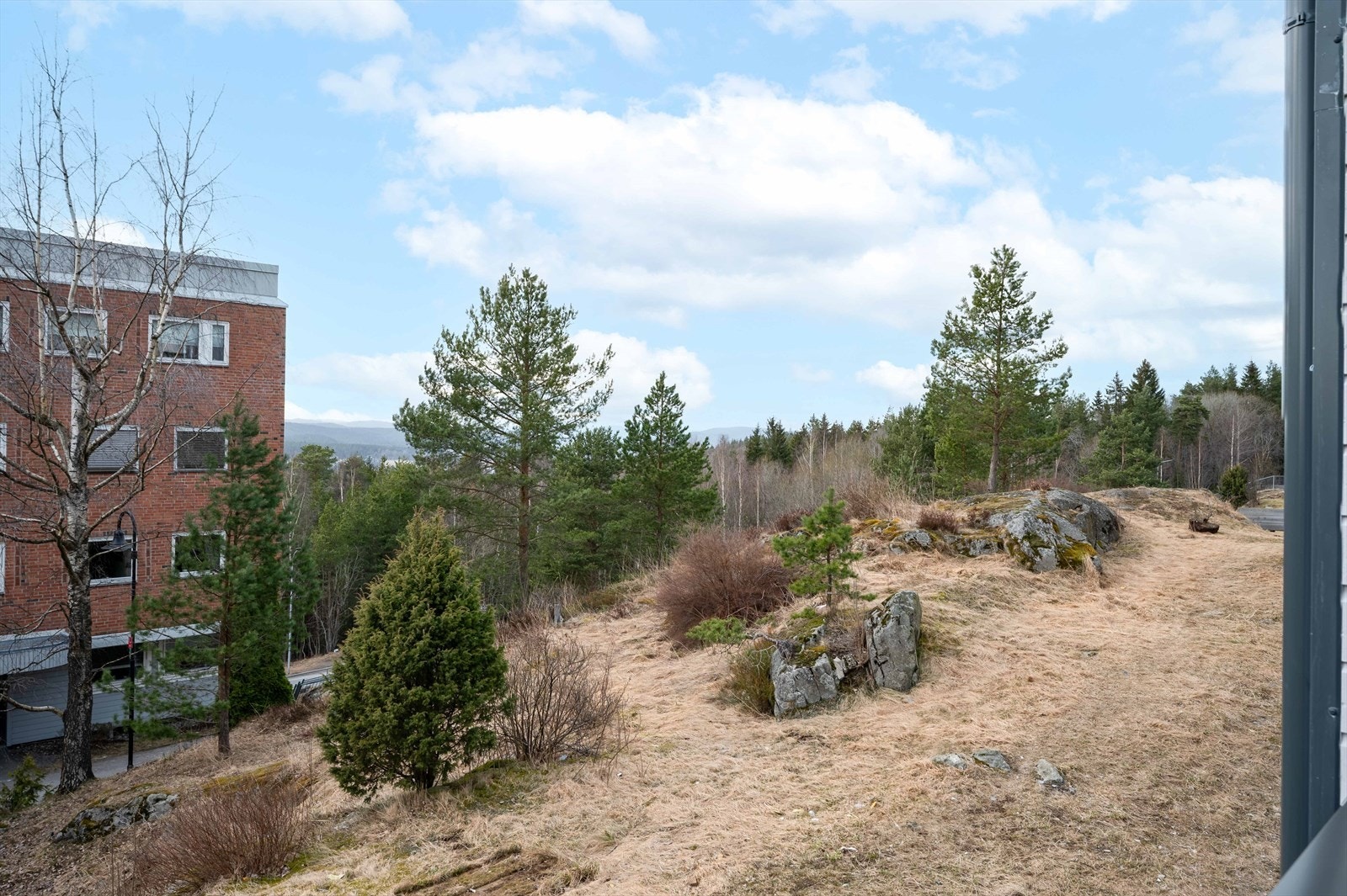 Utsikten fra terrassen Galleribilde