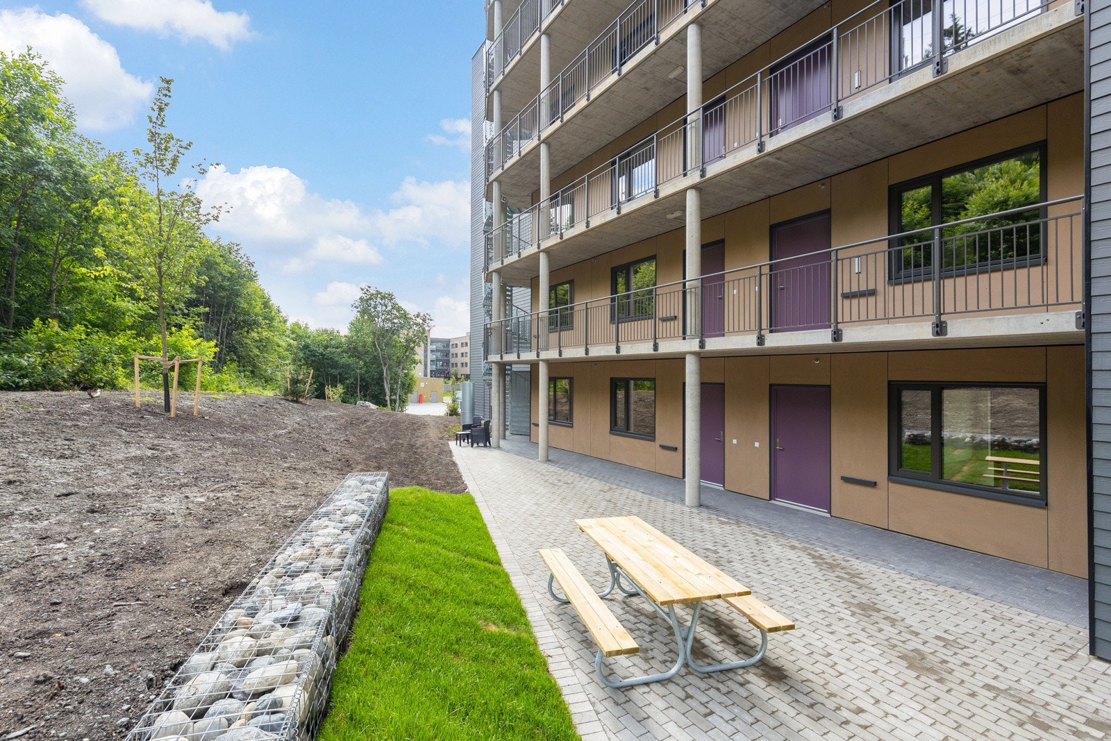 Ogås sittegrupper på baksiden Galleribilde