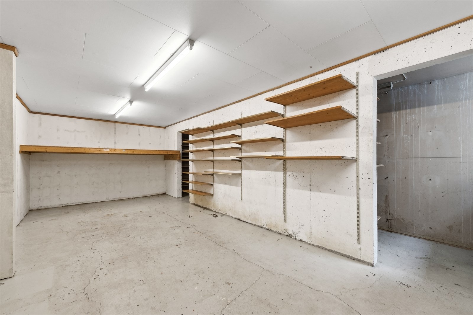 Stort hobbyrom/disponibelt rom i underetasjen. Galleribilde