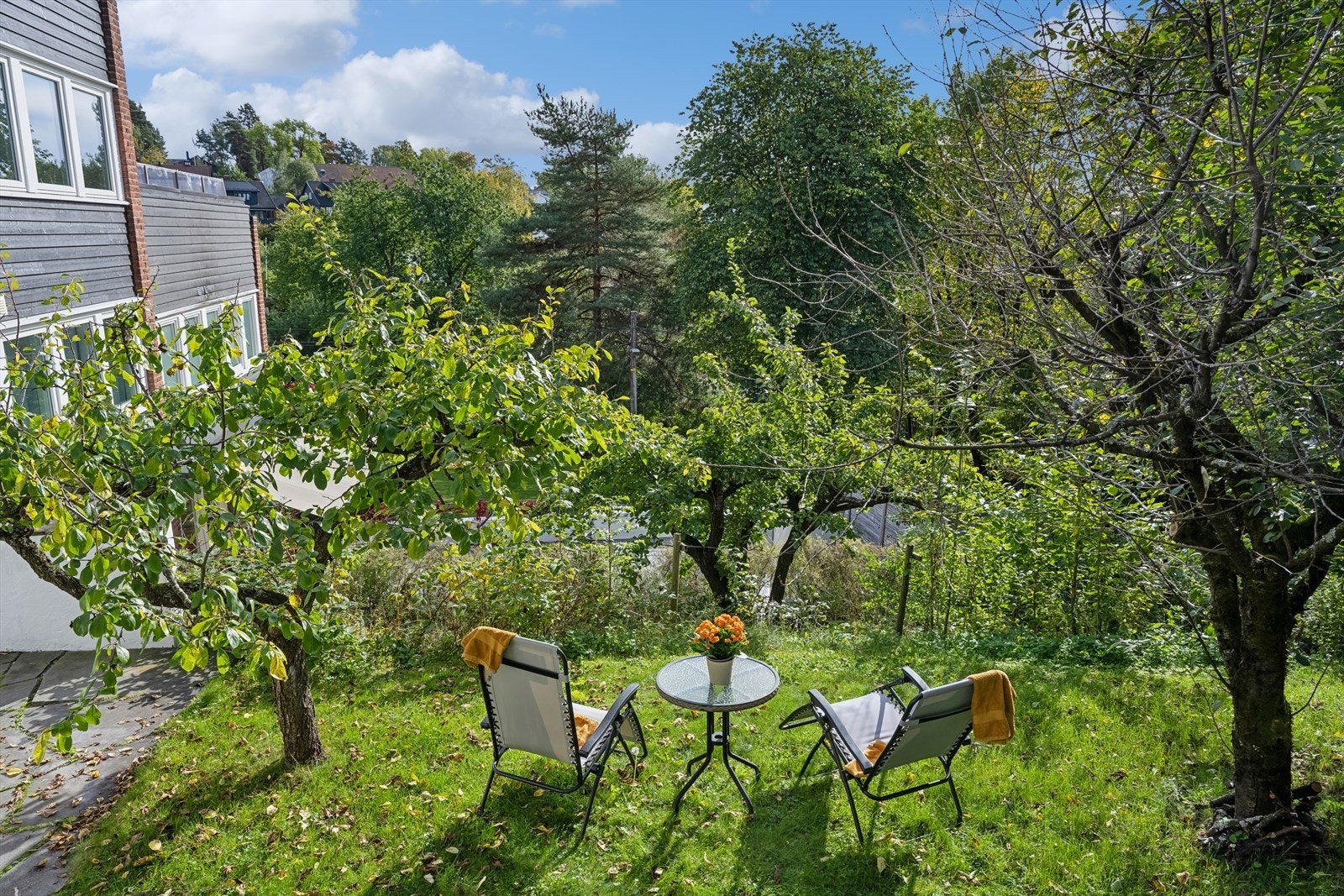 Den grønn hekken mot veien gir en koselig privat hage Galleribilde